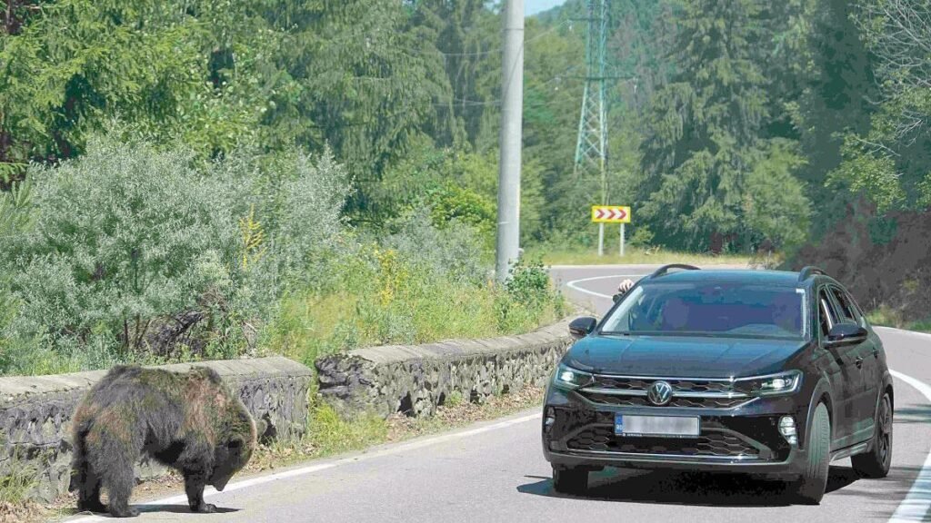 354 de alerte în primele 7 luni, peste nivelul întregului an 2024