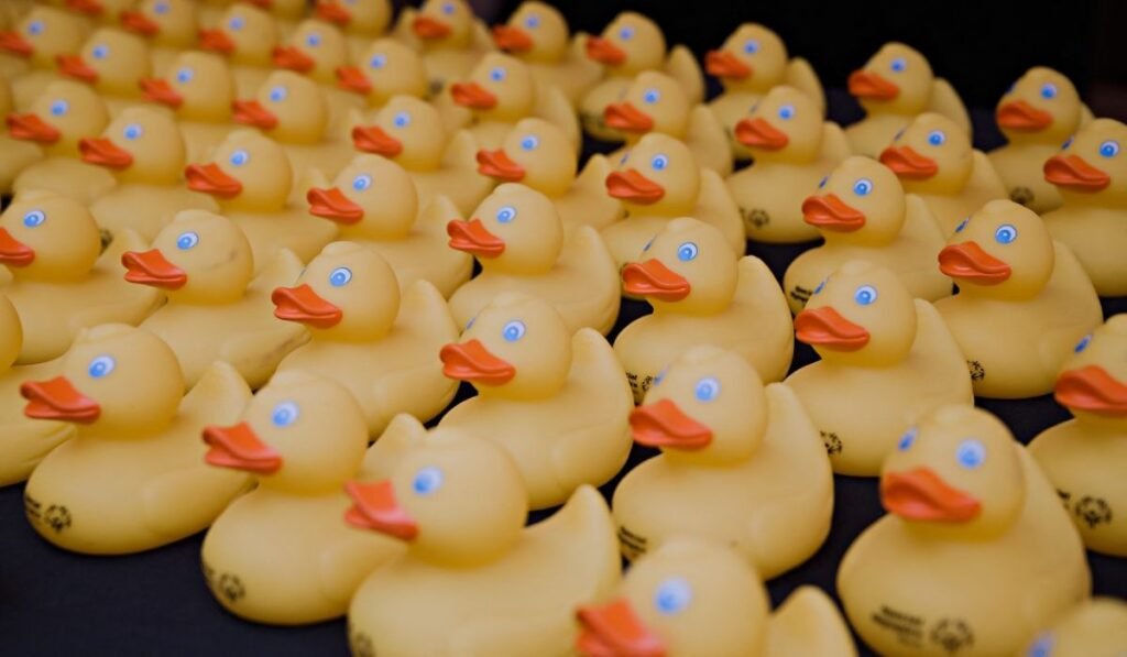 Mii de rățuște de cauciuc aleargă pe râul Chicago în timpul celei de-a 20-a ediții anuale a evenimentului Chicago Ducky Derby, strângând fonduri pentru Special Olympics Illinois, desfășurat în Chicago, Illinois, pe 7 august 2025