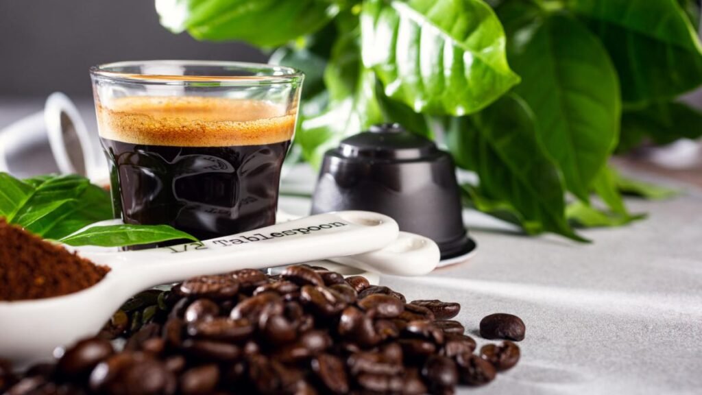 Beneficiile și capcanele zațului de cafea în îngrijirea plantelor de grădină