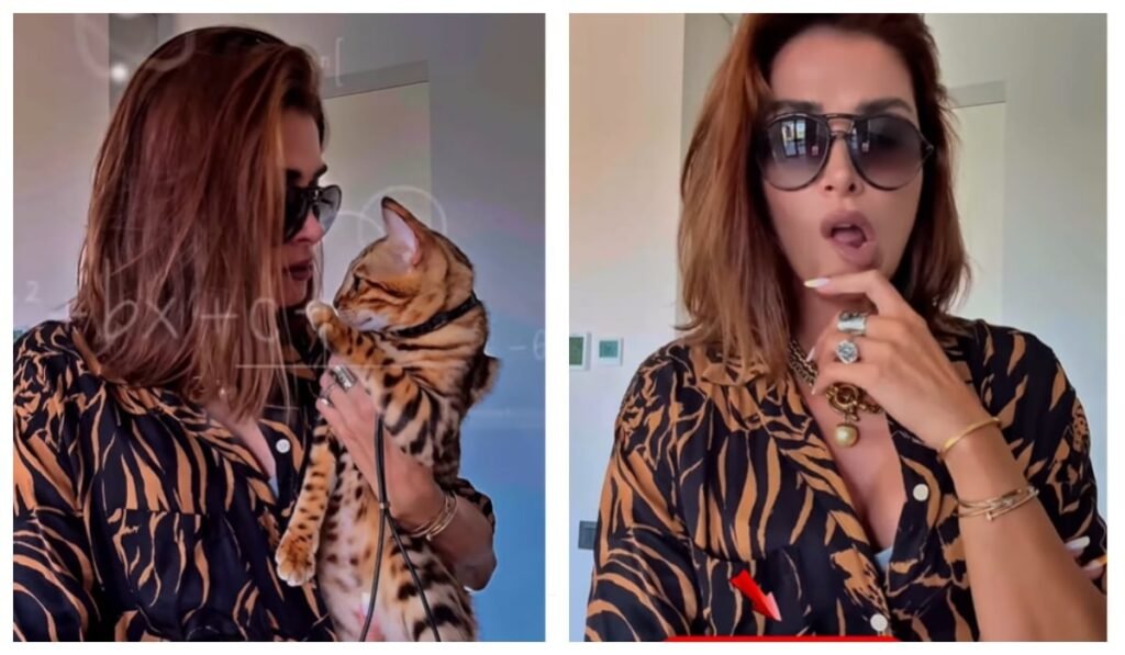 Cum l-a imitat Alina Pușcaș pe „Jaguarul” de la Insula Iubirii. Filmulețul care a adunat peste 1000 de like-uri într-un timp record