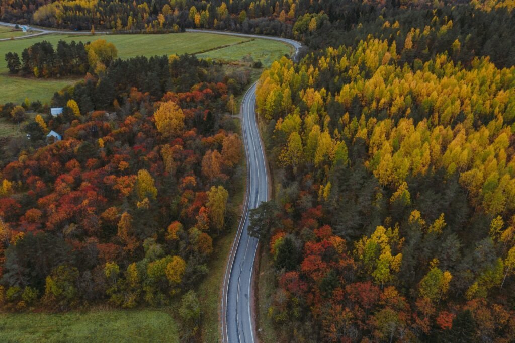 Cum va fi vremea în septembrie. Meteorologii anunță cât mai țin temperaturile de vară Cum va fi vremea în septembrie. Meteorologii anunță cât mai țin temperaturile de vară