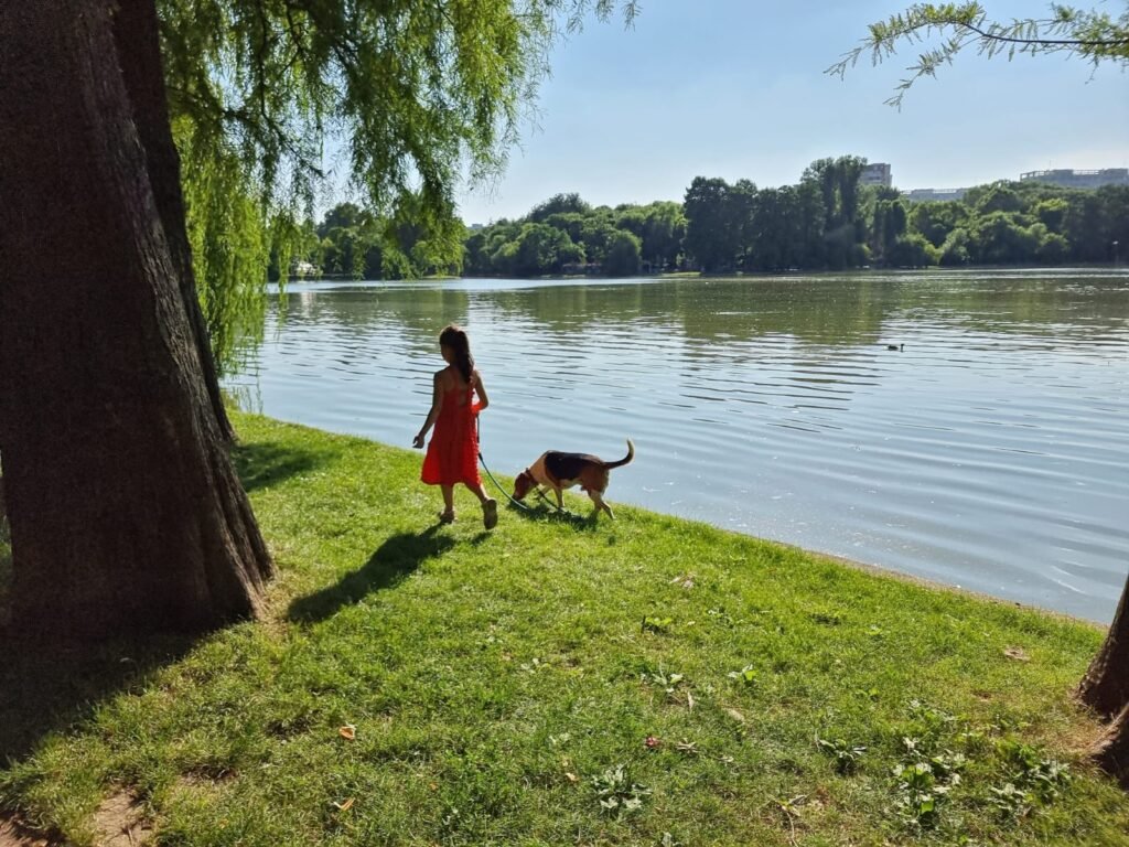Iar ne topim. Cod galben și portocaliu de caniculă în weekend