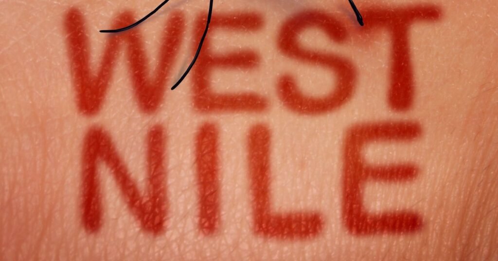 Numărul cazurilor de infecție cu virusul West Nile, în continuă creștere. Vârful transmiterii, în august-septembrie