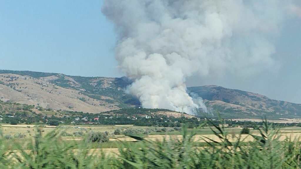 Peste 1.500 de hectare de teren au ars în doar trei zile Peste 1.500 de hectare de teren au ars în doar trei zile