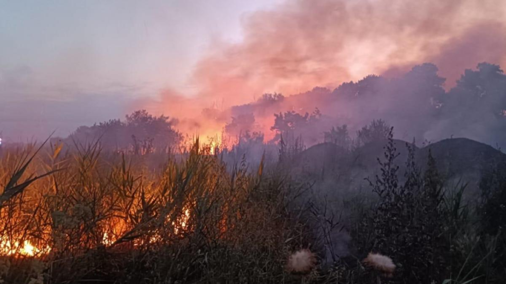 Pompierii continuă să lupte pentru stingerea unui incendiu de proporţii în apropiere de Atena