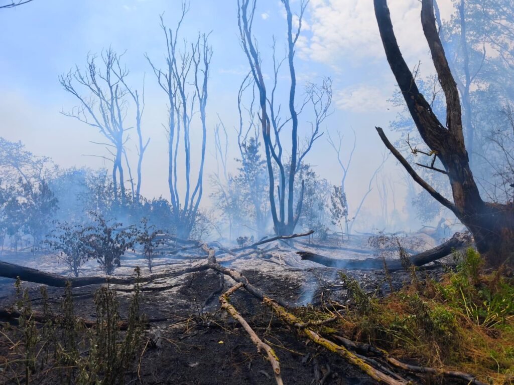 Pompierii vor relua acţiunile de stingere sâmbătă dimineaţă