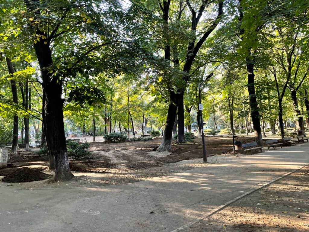 Semnal de alarmă: urmează bâlciuri cu acces pe bani, în parcul istoric Kiseleff ? De ce e o problemă și ce spune George Tuță