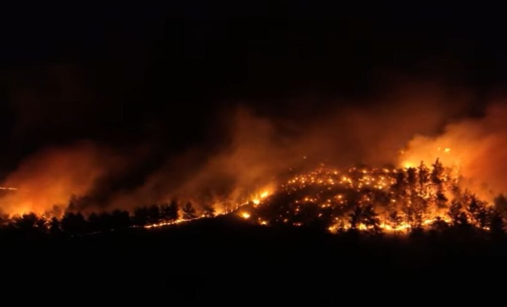 Spania și Portugalia luptă cu incendii uriașe. Zeci de mii de hectare au fost mistuite, iar victimele se înmulțesc