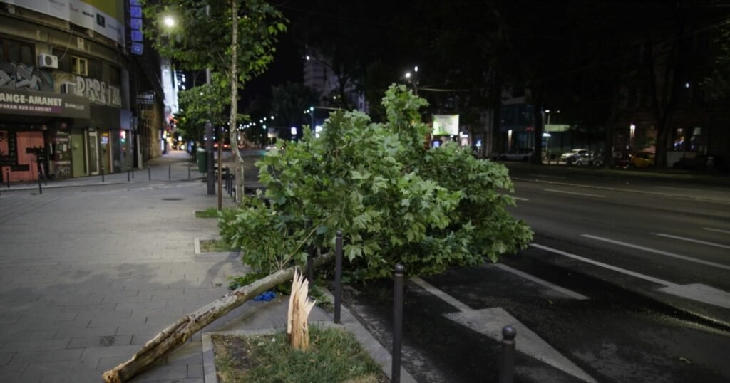 Trei morți şi patru răniți în urma furtunilor de vineri seară din România