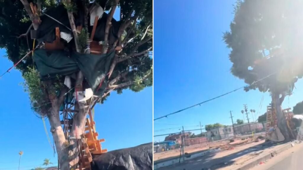 Un bărbat fără adăpost și-a construit o casă imensă în copac, în Los Angeles: „M-au evacuat, dar deja fac una nouă. Sunt ca Tarzan”