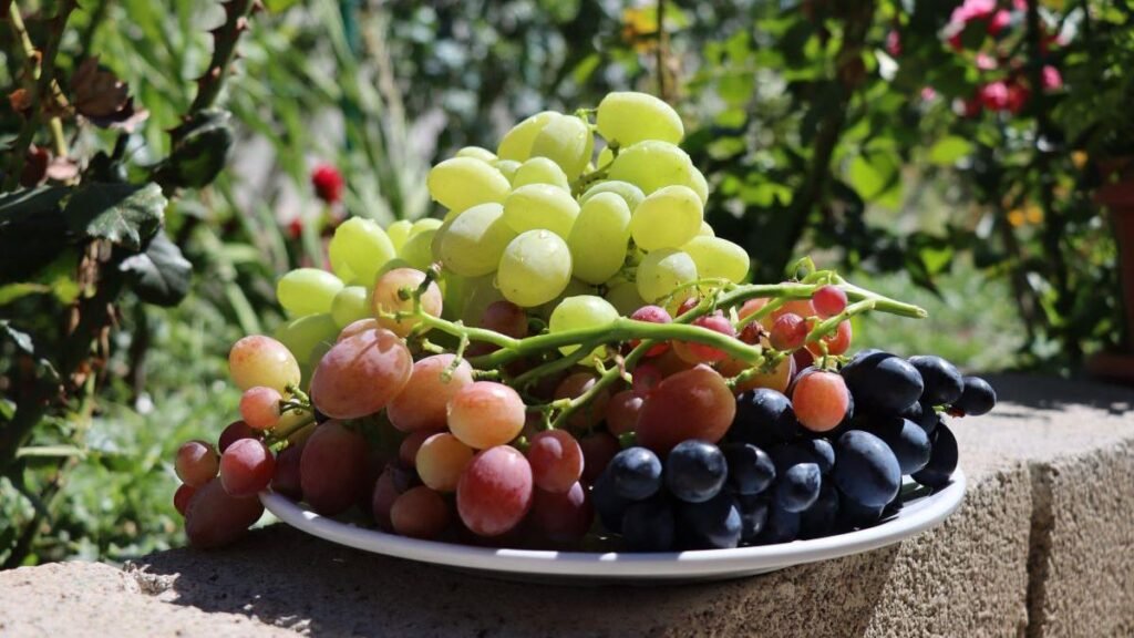 16 beneficii uimitoare ale strugurilor pentru sănătate