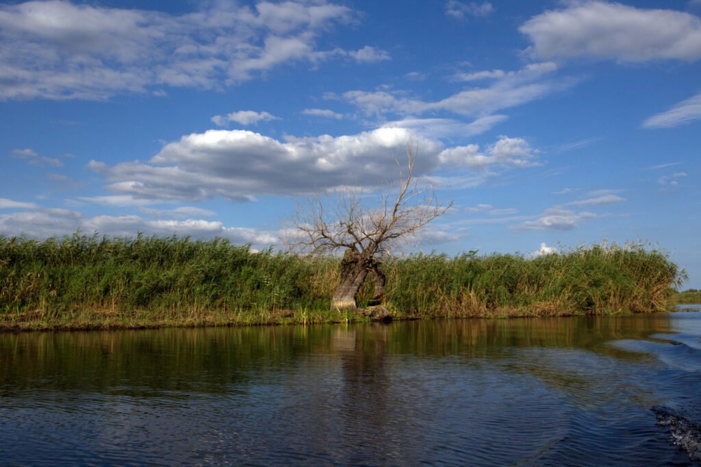 Căutări pentru un bărbat dispărut în Delta Dunării. Două ambarcațiuni, dislocate în zonă Căutări pentru un bărbat dispărut în Delta Dunării. Două ambarcațiuni, dislocate în zonă