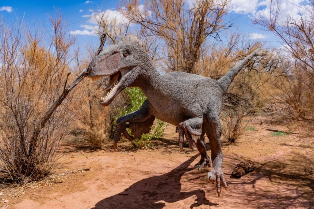 Imaginea prezintă o replică detaliată a unui dinozaur teropod (asemănător unui velociraptor), de culoare gri, cu gura deschisă și o atitudine dinamică, sugerând mișcare. Statuia este amplasată într-un peisaj arid cu pământ roșiatic și vegetație uscată, sub un cer albastru cu nori puțini, cel mai probabil fiind o expoziție în aer liber.