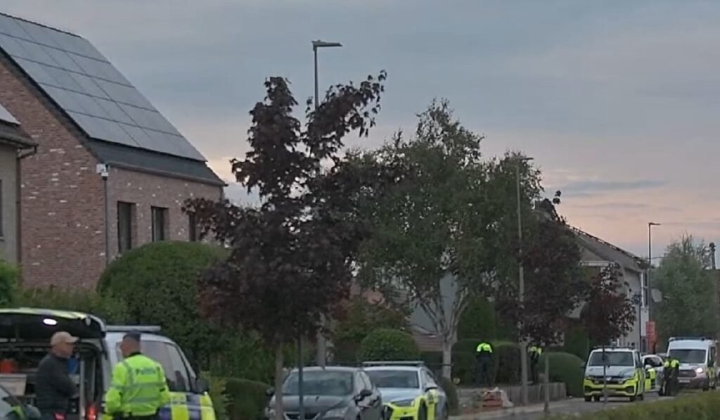 Cinci muncitori români în construcții în Belgia au furat și 288 de sticle de whiskey și riscă să stea câte 7 ani în închisoare