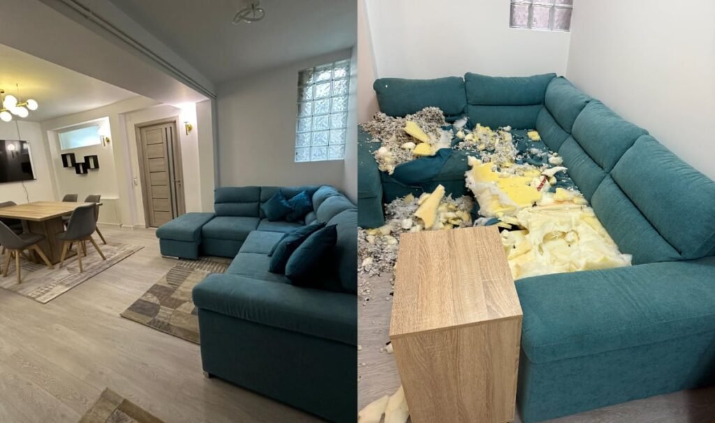 Imagini înainte și după cu apartamentul pe care Calina Dumitrescu l-ar fi distrus. Proprietara rupe tăcerea: „O pune pe mama ei sa se ocupe de mizeria pe care ea o face”