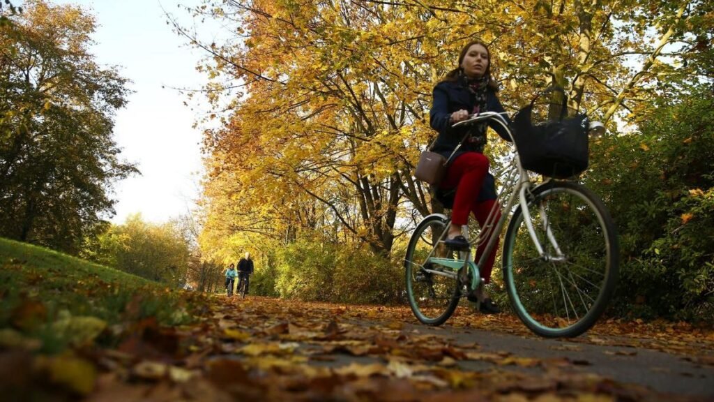 Prognoza pentru următoarele 4 săptămâni: se instalează toamna