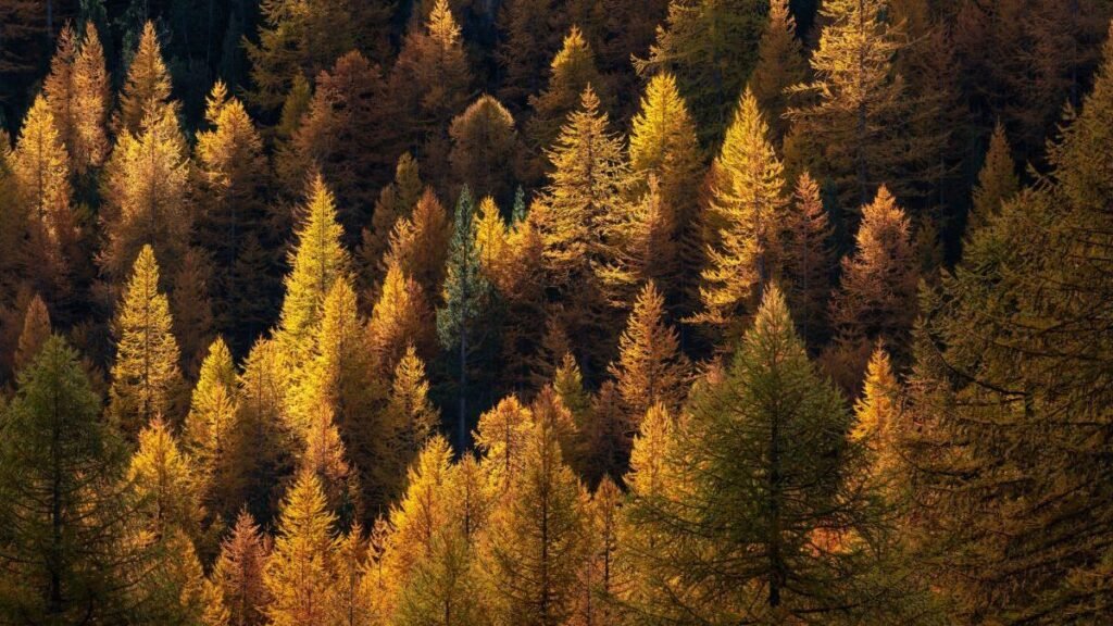 Septembrie 2025 aduce zile călduroase în România