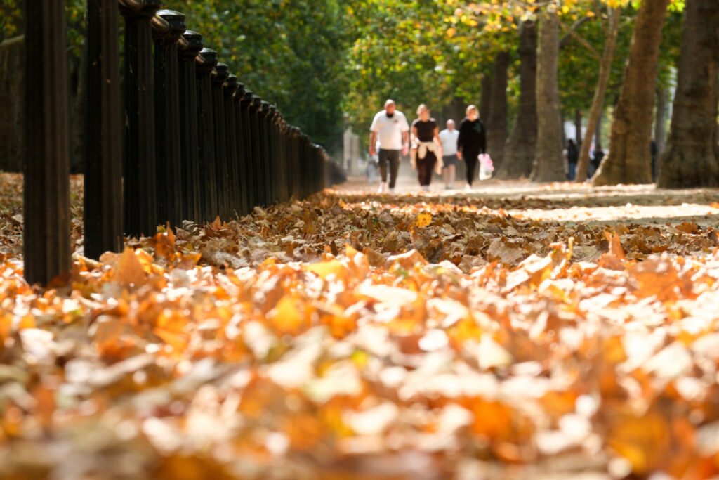 Temperaturi mai mari decât cele specifice perioadei