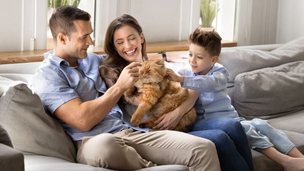 In imagine o familie formata din mama, tata si un gaietel, asezati pe canapea, cu o pisica portocalie in brate