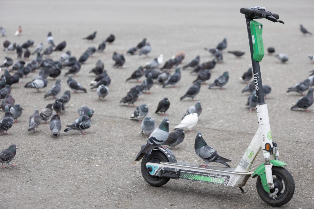 un băiat de 13 ani a murit după un accident cu trotineta electrică