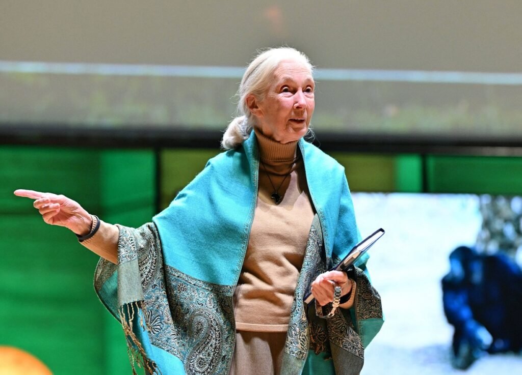 A murit Jane Goodall, pioniera studiului cimpanzeilor (Foto & Video)