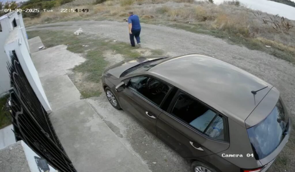 Un bărbat îmbrăcat în tricou albastru și pantaloni închiși, care stă pe un drum și ține un pistol îndreptat spre un câine