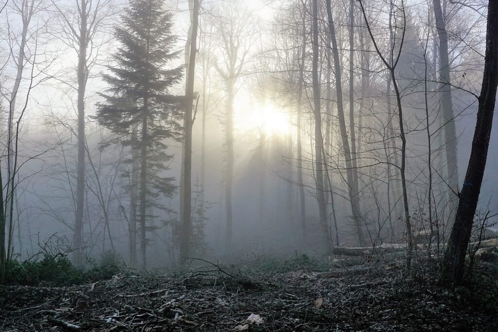 Expunerea la lumină puternică ne poate ajuta cu depresia de iarnă și ar trebui să începem chiar acum. Cum procedăm