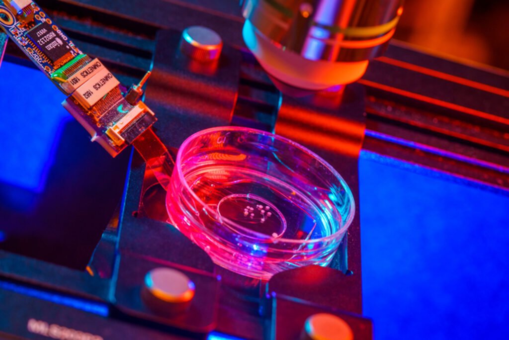 Mini-creiere umane pentru a alimenta computerele. Procesul începe cu celule stem