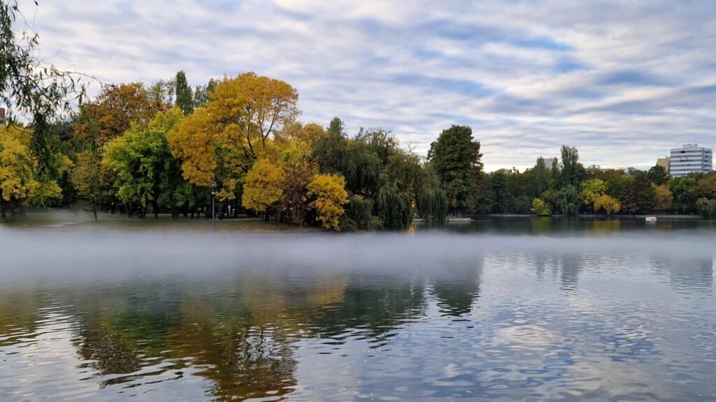 Negoiță vrea să cheltuiască 60 de milioane de euro ca să reamenajeze IOR și în alte 2 parcuri. Ce lucrări propune