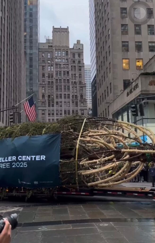 Bradul de Crăciun de la Rockefeller Center a ajuns la New York