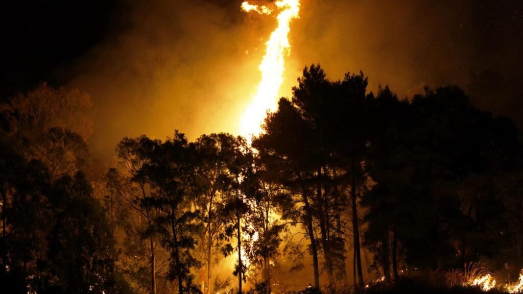 Ucraina ar fi lovit o termocentrală aflată sub control rusesc în Donbas