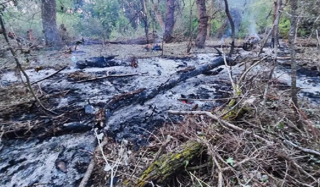 Zonă din România unde a căzut o dronă din Rusia