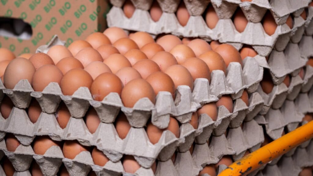 Cât a ajuns să coste un cofraj cu ouă