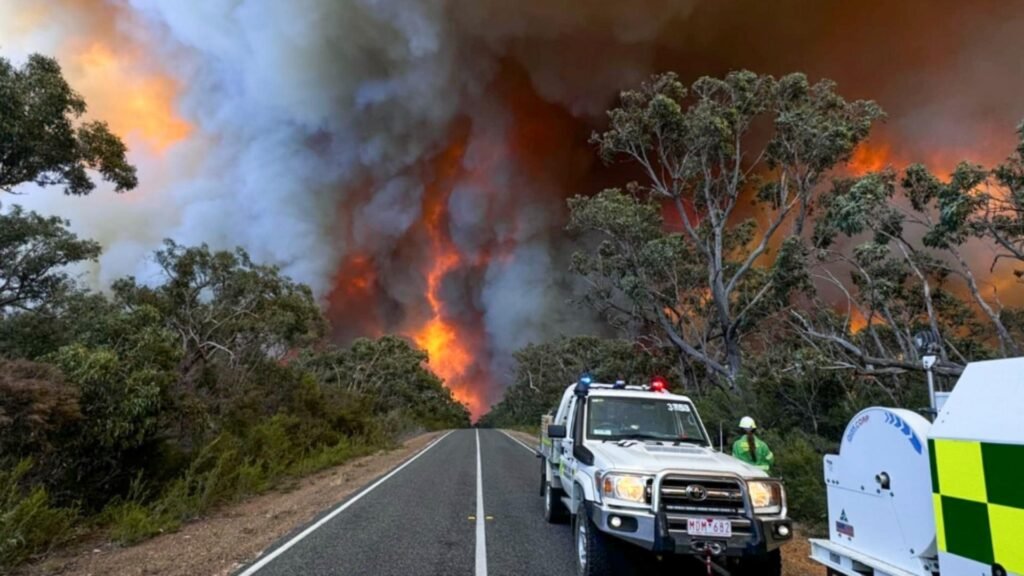 Australia declară stare de catastrofă din cauza incendiilor devastatoare și valului de căldură Australia se confruntă de câțiva ani cu fenomene distrugătoare (Profimedia)