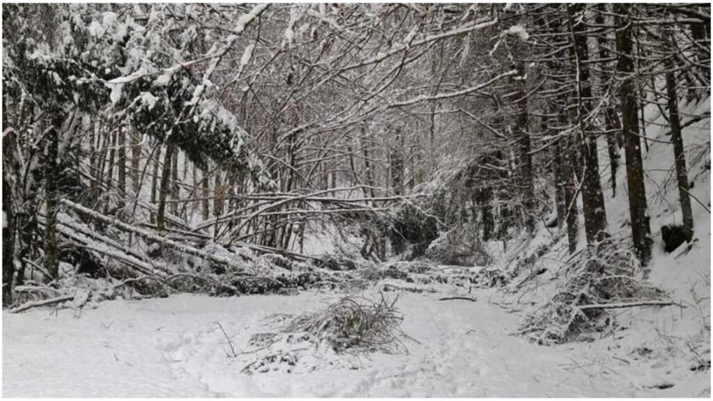 Mobilizare de forțe pentru salvarea unei persoane dintr-o pădure din Rodna. Elicopterul SMURD nu poate interveni din cauza vremii Mobilizare de forțe pentru salvarea unei persoane dintr-o pădure din Rodna