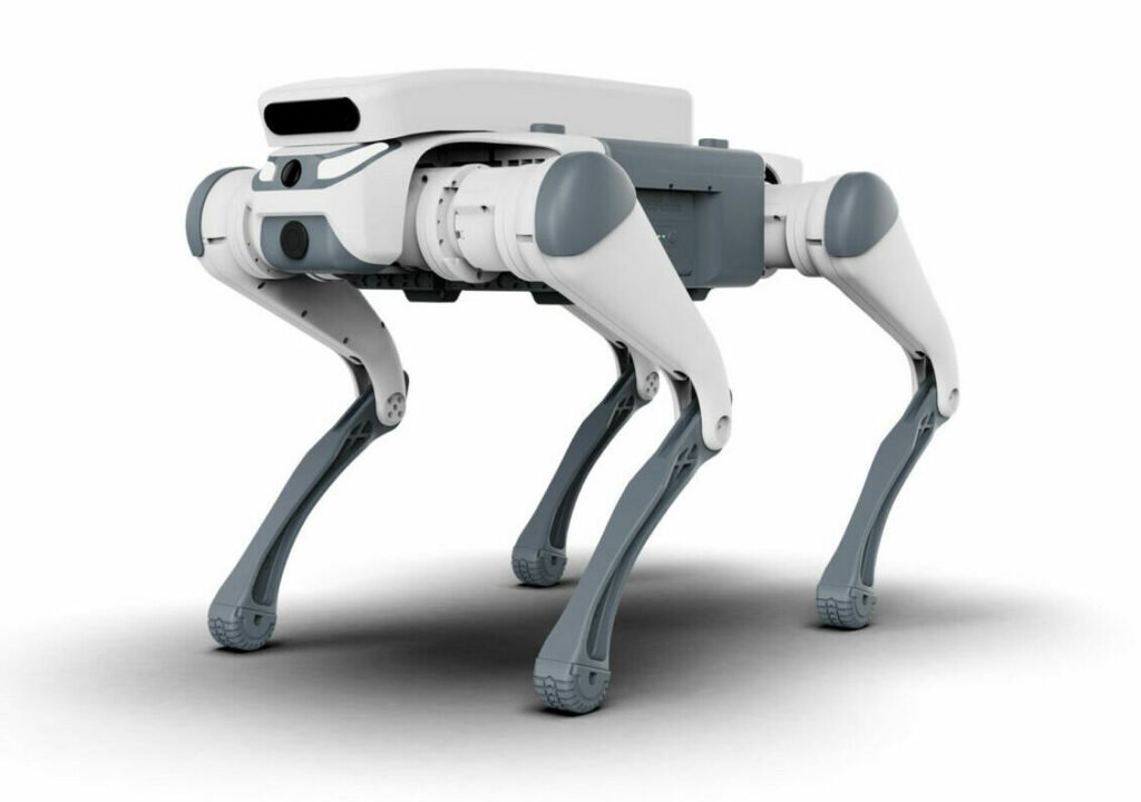 Primul oraș din România unde roboții fac ordine pe străzi Primul oraș din România unde roboții fac ordine pe străzi