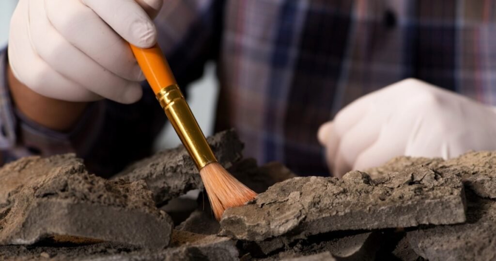 Descoperire uluitoare în Germania: Arheologii au găsit un caiet vechi de aproximativ 800 de ani într-o toaletă medievală
