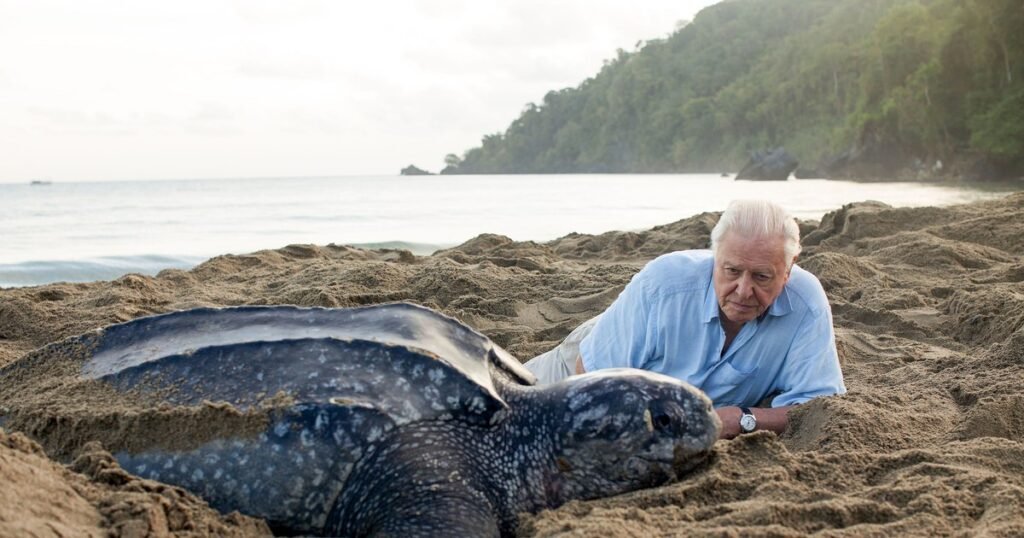 Sir David Attenborough, la 100 de ani. Povestea omului care a fost vocea naturii și a adus-o în prime-time