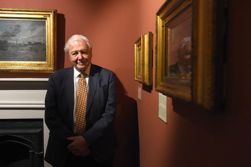 David Attenborough, sfat către grădinari pentru a ajuta aricii pe timpul verii
