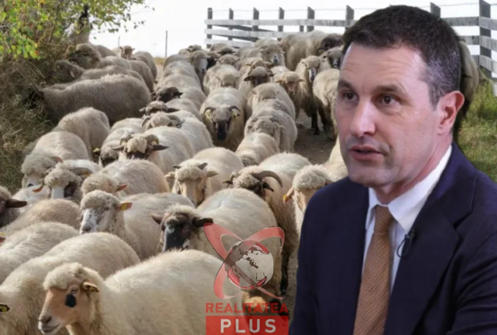 Ministrul Agriculturii, despre pesta micilor rumegătoare:”România trebuie să-şi păstreze poziţia de cel mai mare exportator de ovine din UE” Ministrul Agriculturii, despre pesta micilor rumegătoare:”România trebuie să-şi păstreze poziţia de cel mai mare exportator de ovine din UE”