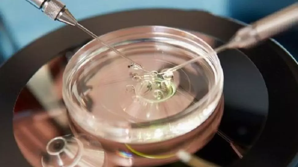 Sectorul 2 vrea să deconteze fertilizarea in vitro: sprijin de până la 20.000 lei pentru fiecare beneficiar Sectorul 2 vrea să deconteze fertilizarea in vitro: sprijin de până la 20.000 lei pentru fiecare beneficiar