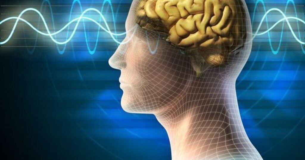 Neurologii spun că acest nutrient este esențial pentru creier, dar lipsește din multe diete. Alimentele în care se găsește din belșug